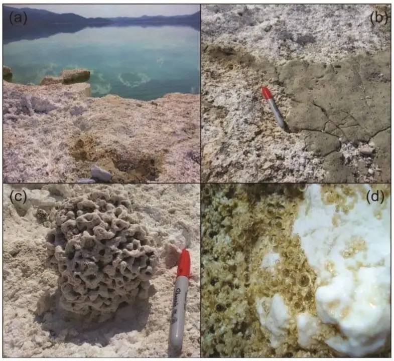 Dünya’nın En Eski Canlı Arşivi: Salda Gölü Neden Korunmalı? 5